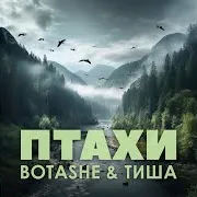 Botashe — Птахи Ft Тиша